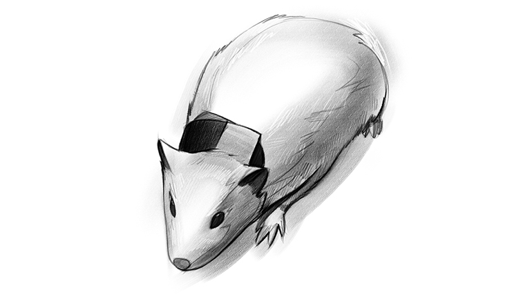 concussion_collar_development_mouse_770x433
