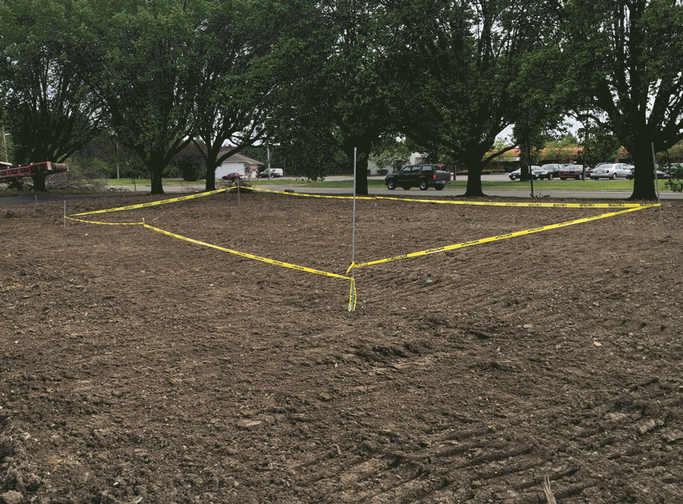 priority_designs_blog_green_thumbs_02