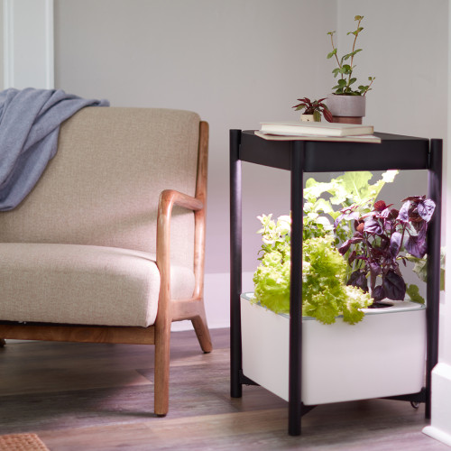 prioritydesigns_miracle-gro_indoor-growing_home-decor_photography