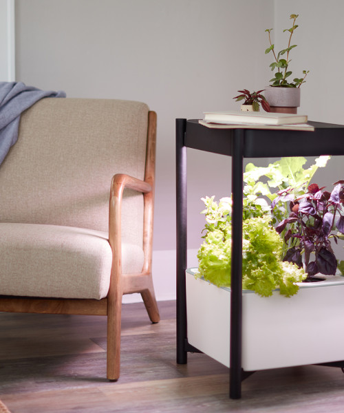 prioritydesigns_miracle-gro_indoor-growing_home-decor_photography