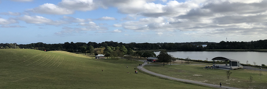 Andrew Miranda - Priority Designs